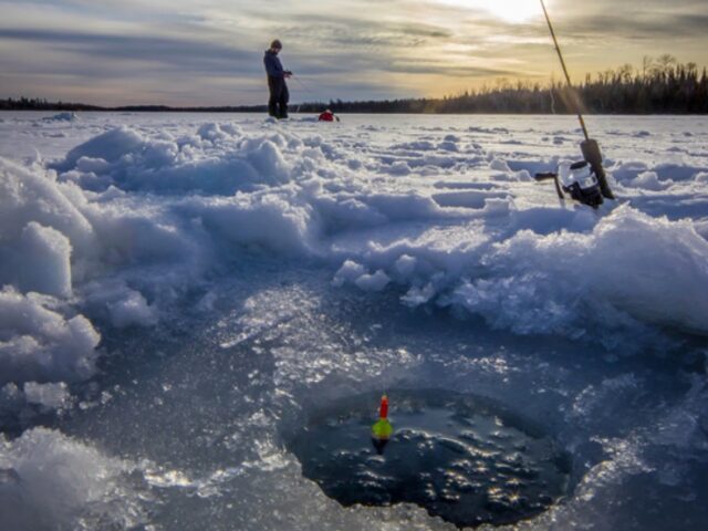 Sturgeon Lake is a prime location for ice fishing in the winter months. Anglers can set up their huts for species like walleye and northern pike.