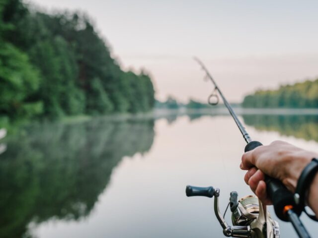 Another popular spot for anglers, Pigeon Lake offers excellent fishing for bass, pike, and walleye. You can launch your boat from various public access points or marinas.