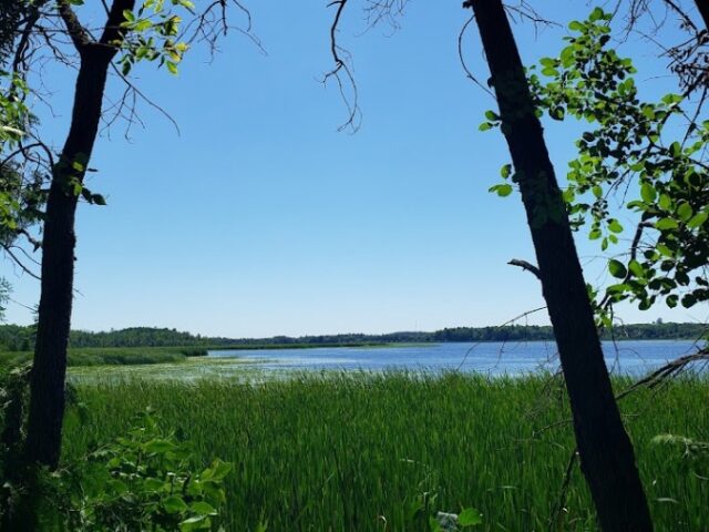 Open year-round, this park provides a range of activities and facilities, including excellent family camping, fishing, boating, and paddling on the Trent-Severn Waterway. It also offers stunning fall camping with vibrant autumn colours. The park is open in winter for daytime cross-country skiing, snowshoeing, and hiking, though facilities are closed and parking is limited.