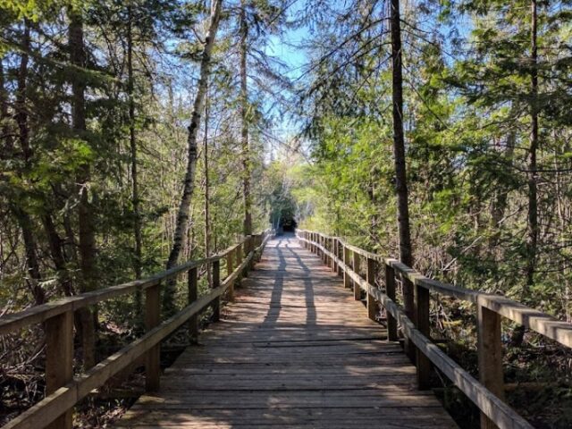 Open year-round, this natural park offers nearly 12 kilometres of trails, two boardwalks, an observation platform, picnic areas, a playground, and an off-leash dog park. Key features include the Talking Forest, a 9-hole disc golf course, and access to the Victoria Rail Trail, making it a hub for outdoor recreation and environmental stewardship.