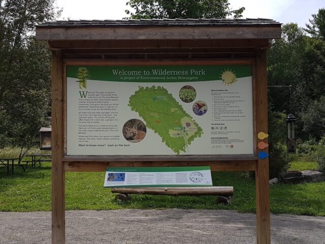 Bobcaygeon Wilderness Park in Bobcaygeon, ON, is a serene natural getaway offering hiking trails, scenic views, and peaceful surroundings, making it the perfect spot for nature lovers to explore and unwind.