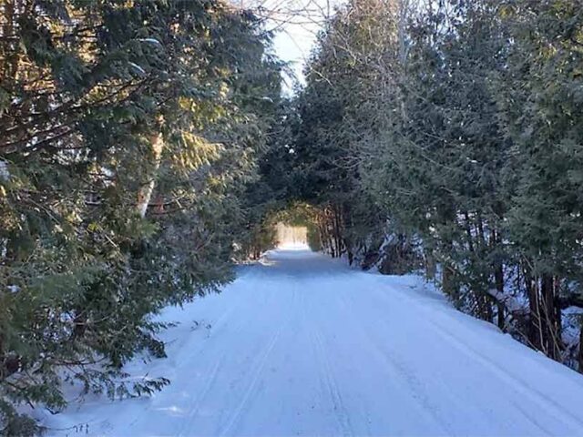 This conservation area offers snowshoeing trails through peaceful forested landscapes. Ideal for a winter day out.