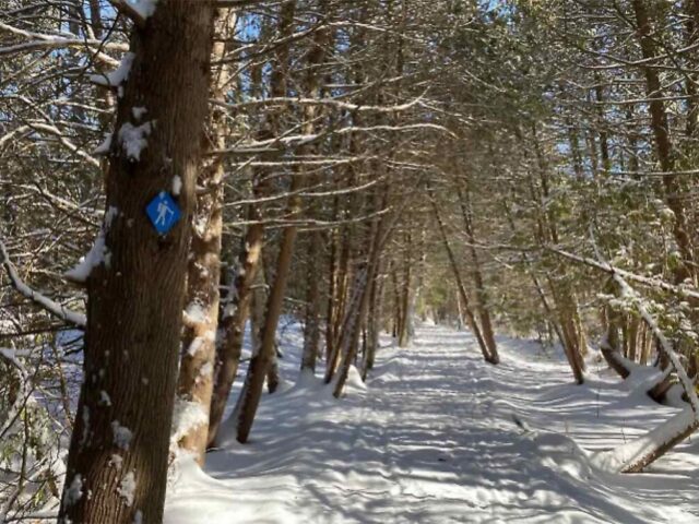 A scenic provincial park offering quiet, snow-covered trails perfect for snowshoeing.