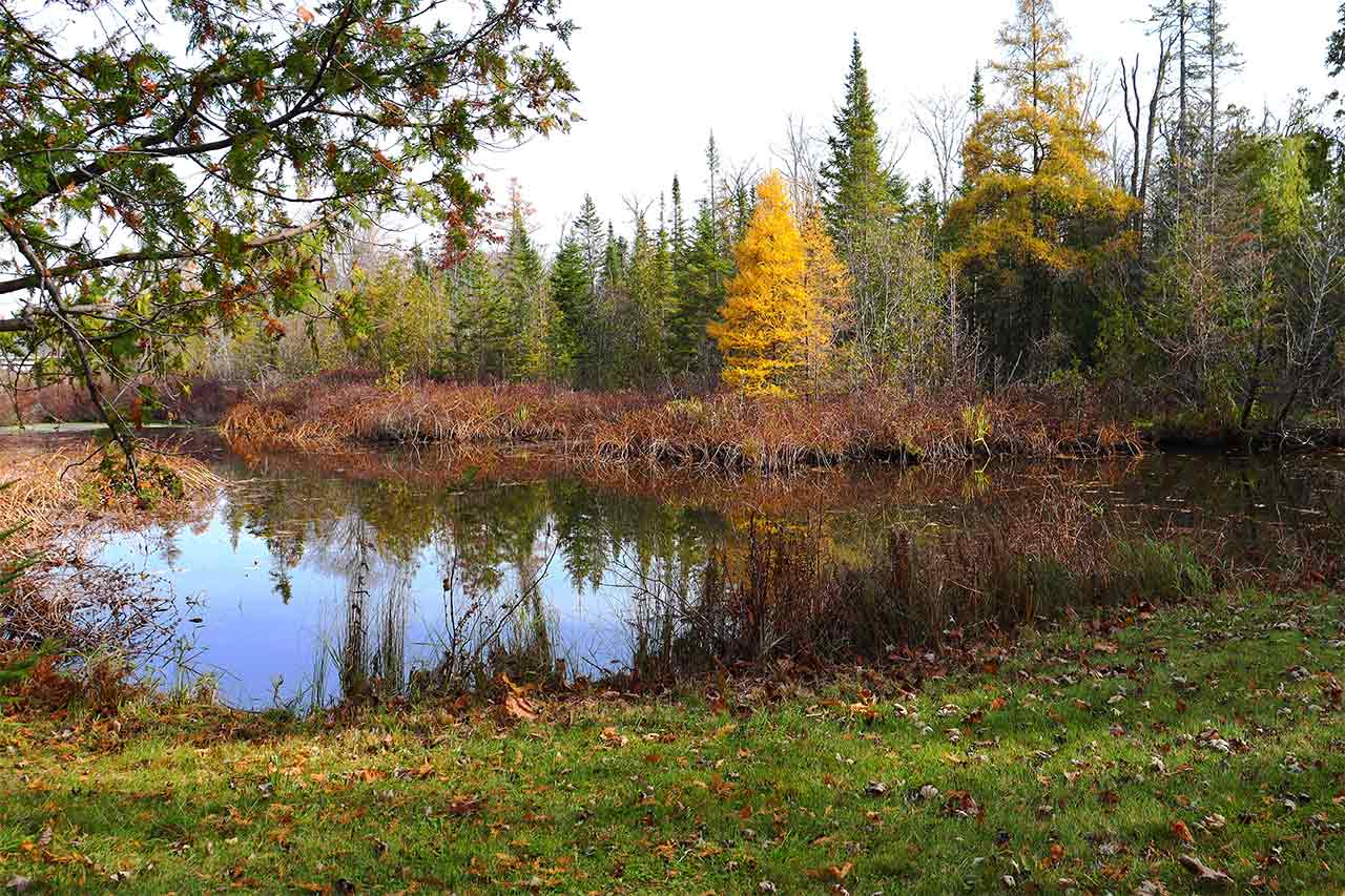 Perfect spot for photos and soaking up nature. Insta-worthy! The pond is not recommended for swimming.